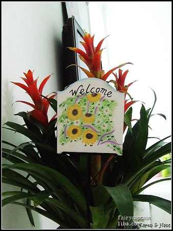 网友秀2万超值装修 瓷砖运用很独到_装修价格